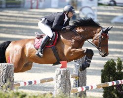 jumper Kleons Jersey (Oldenburg show jumper, 2011, from Conte Bellini)