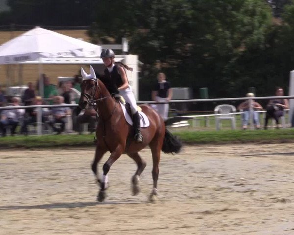 Reitturnier Menden 2016