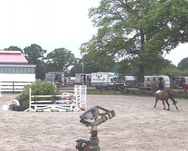 Reitturnier HH-Klein Offenseth/Hell-Stallion-Stud 2016