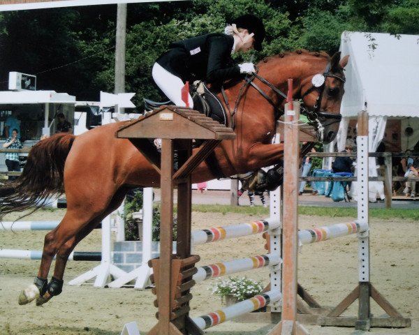 jumper Nancho's No Limit (German Riding Pony, 2002, from Heidbergs Nancho Nova)