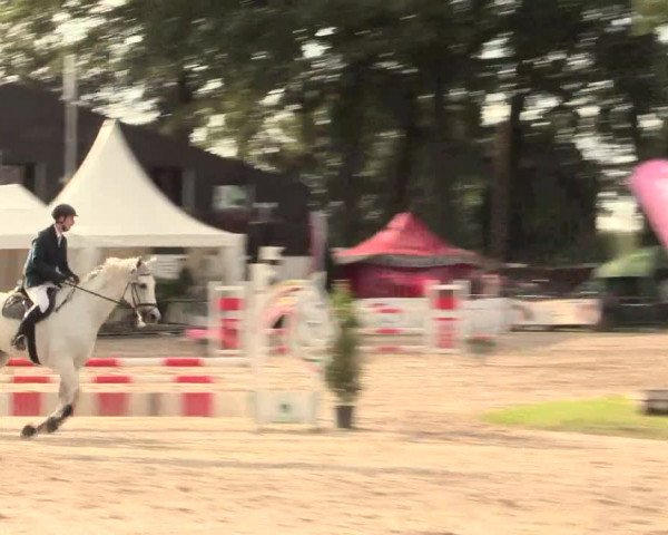 Reitturnier Datteln 2016