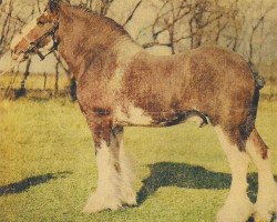 Deckhengst Lochlands Flashdale (Clydesdale, 1959, von Muirton Sensation 24672)