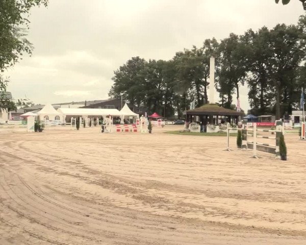 Reitturnier Datteln 2016