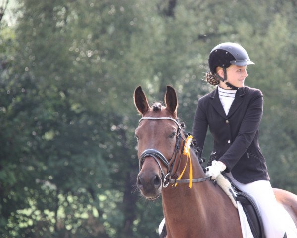 dressage horse Estan (Westphalian, 2010, from Estobar NRW)