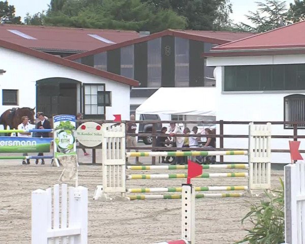 Reitturnier HH-Klein Offenseth/Hell-Stallion-Stud 2016