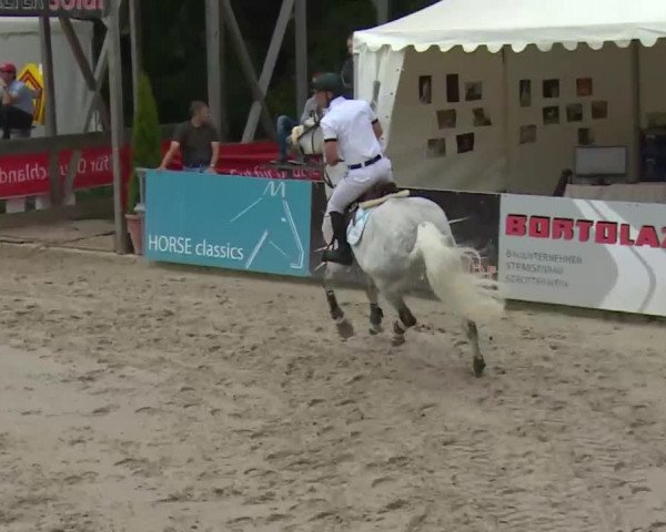 HORSE classics Killingen 2016