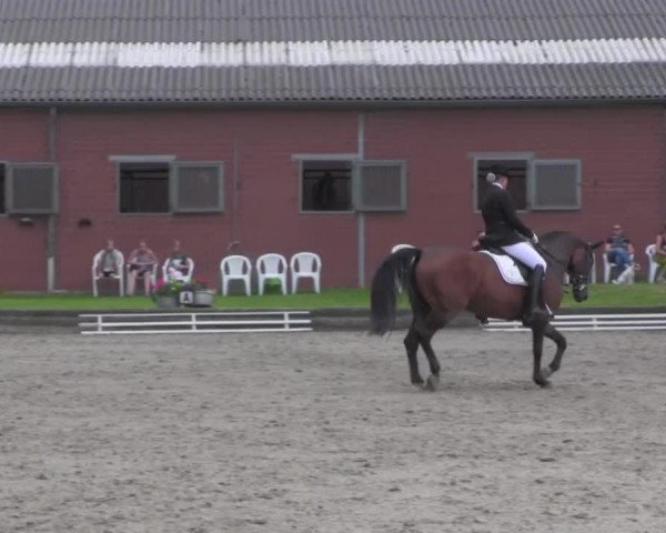Reitturnier Datteln 2016