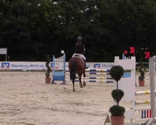 Reitturnier Menden 2016