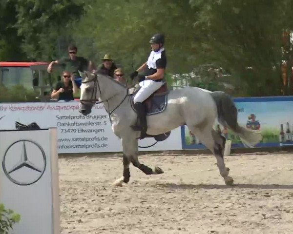 HORSE classics Killingen 2016