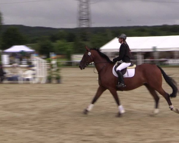 Reitturnier Menden 2016
