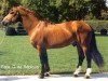 stallion Hulax (Freiberger, 1983, from Hunter)
