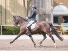 dressage horse Real Nice Boy (German Riding Pony, 2003, from Stukhuster Ricardo Go For Gold)