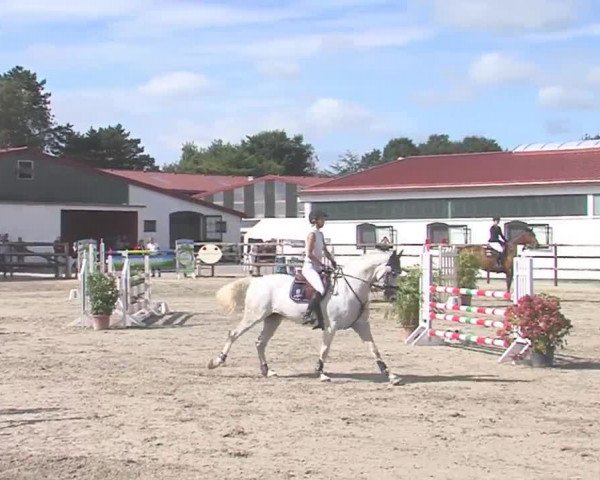 Reitturnier HH-Klein Offenseth/Hell-Stallion-Stud 2016