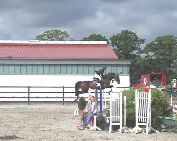 Reitturnier HH-Klein Offenseth/Hell-Stallion-Stud 2016