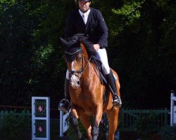 jumper GAW Magic Breeze (KWPN (Royal Dutch Sporthorse), 2013, from Breezer)