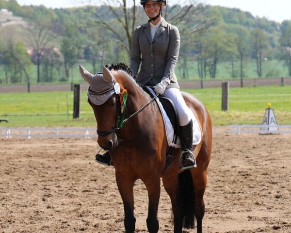 dressage horse Lee Ann 7 (unknown, 2008)