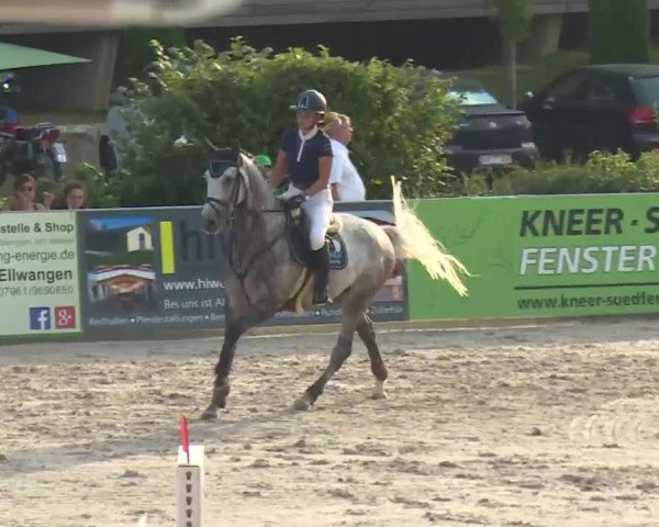 HORSE classics Killingen 2016
