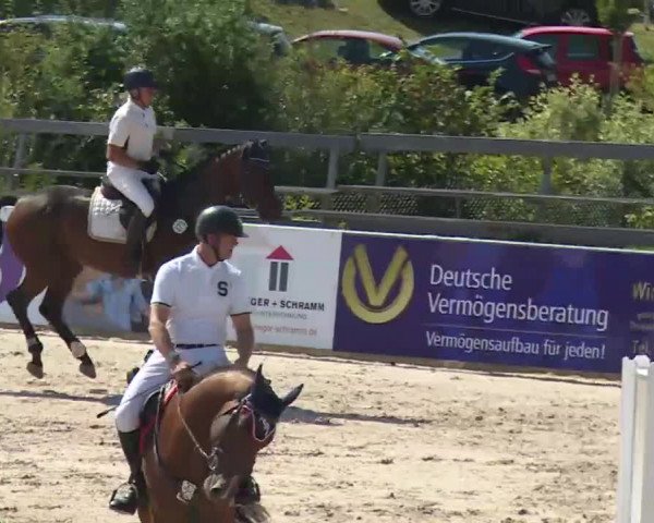 HORSE classics Killingen 2016