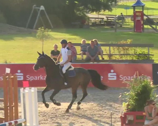 HORSE classics Killingen 2016
