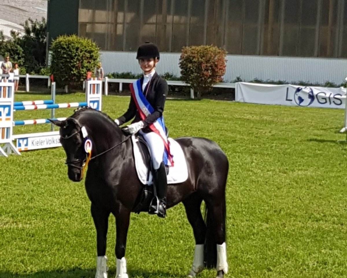 broodmare Meck Glenn (German Riding Pony, 2007, from Proud Rocketti)