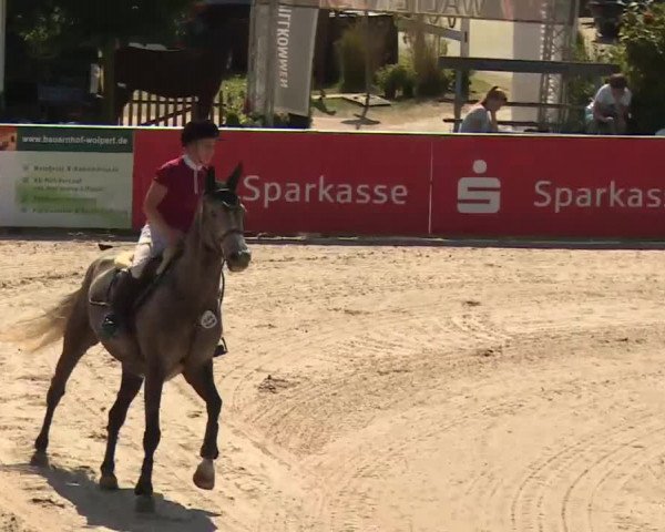 HORSE classics Killingen 2016