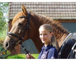 dressage horse Da Vinja (German Riding Pony, 2008, from Valdez HS)