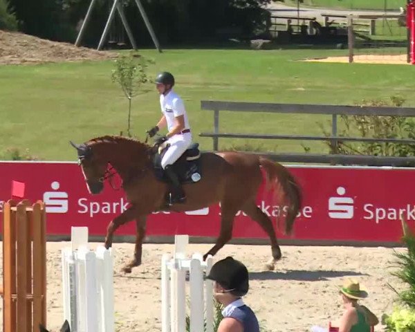 HORSE classics Killingen 2016