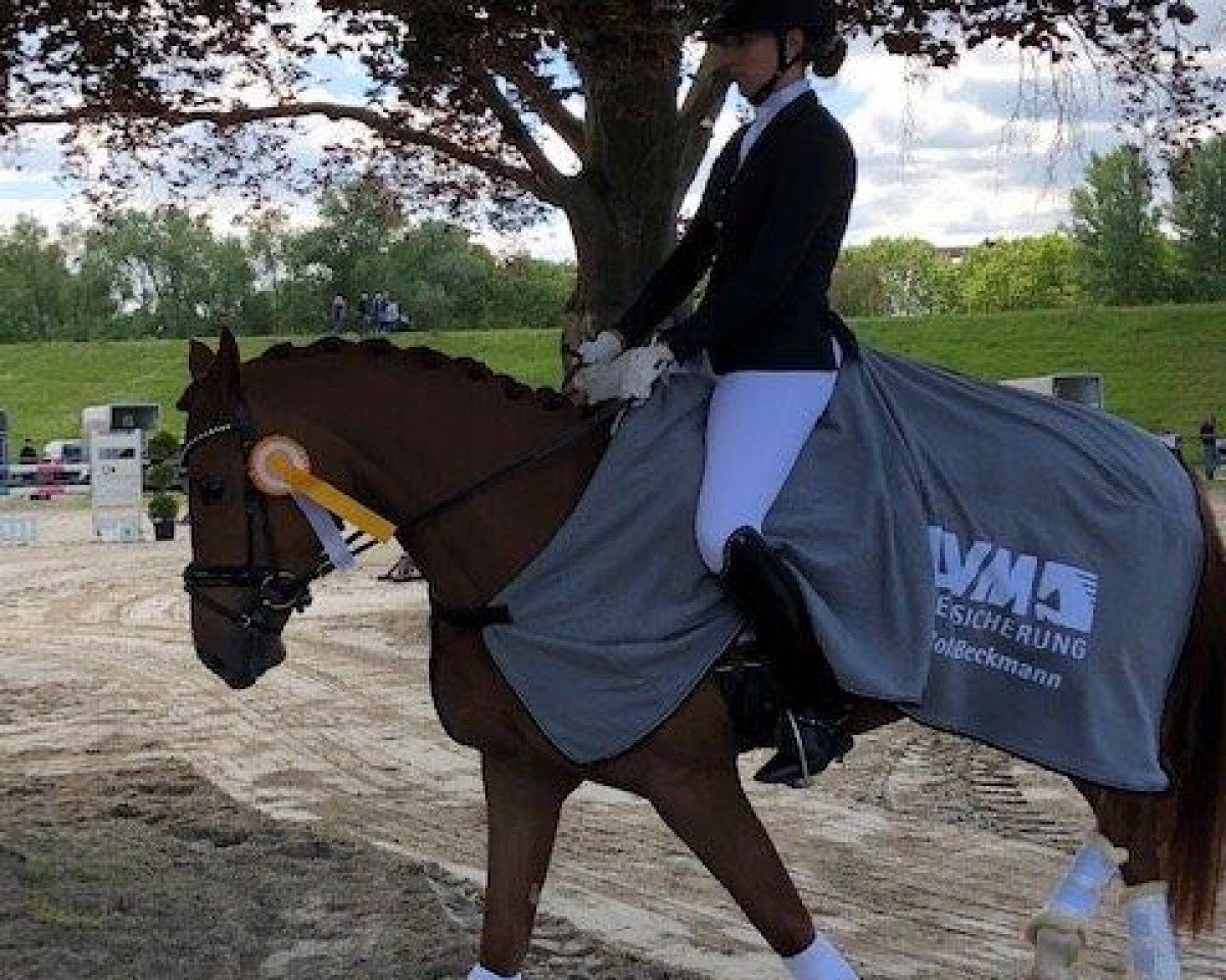 broodmare Fantastic Lady 7 (Hanoverian, 2015, from Fürst Fohlenhof)