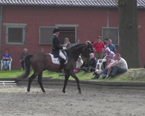 Reitturnier Datteln 2016