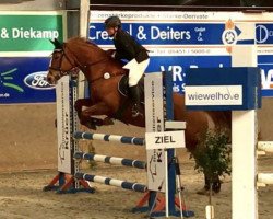 broodmare Carmela 2 (Oldenburg show jumper, 2005, from Cannavaro)