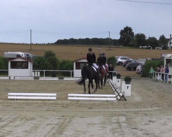 Reitturnier Menden 2016