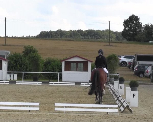 Reitturnier Menden 2016