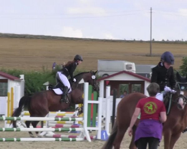 Reitturnier Menden 2016