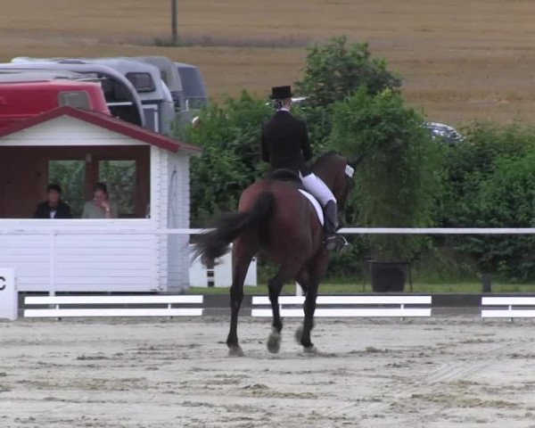 Reitturnier Menden 2016