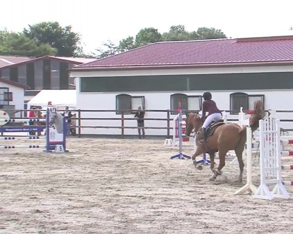 Reitturnier HH-Klein Offenseth/Hell-Stallion-Stud 2016