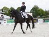 dressage horse Shiron 3 (Württemberger, 2010, from San Amour I)