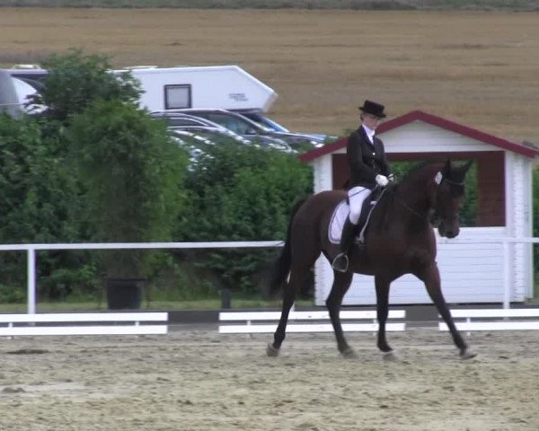 Reitturnier Menden 2016
