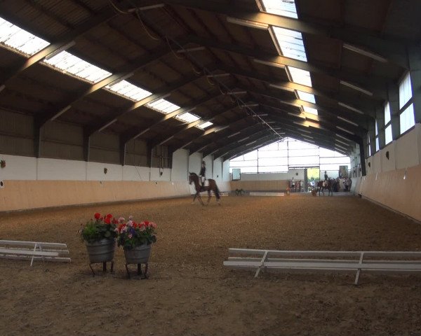 Reitturnier Datteln 2016