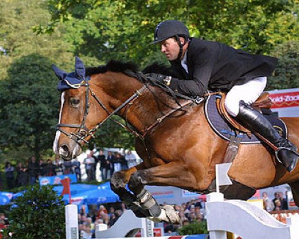 broodmare Enrika (Hanoverian, 1995, from Ehrentusch)