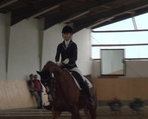 Reitturnier Datteln 2016