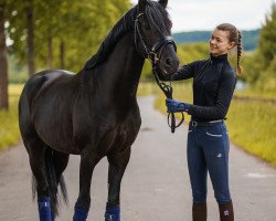 dressage horse Galantis 3 (German Riding Pony, 2014, from Going East)