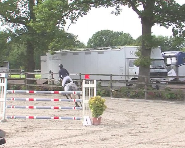 Reitturnier HH-Klein Offenseth/Hell-Stallion-Stud 2016