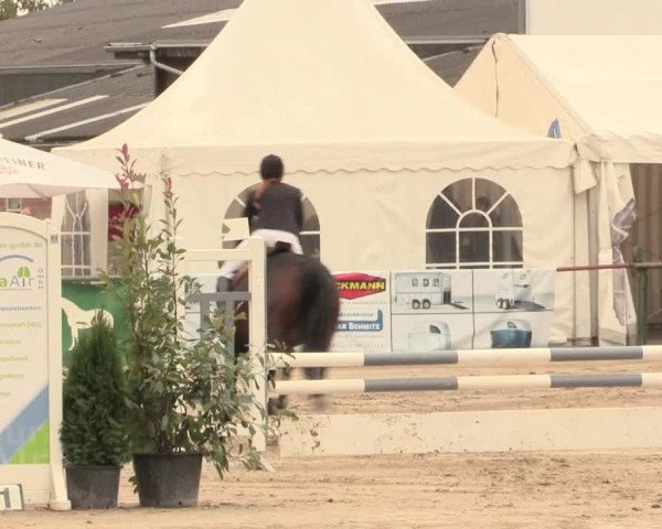 Reitturnier Datteln 2016