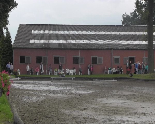 Reitturnier Datteln 2016