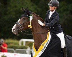 dressage horse Quaterdance 3 (Hanoverian, 2013, from Quaterhall)