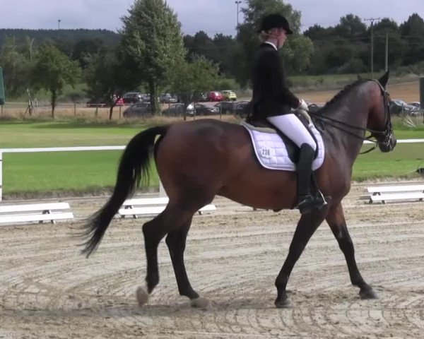 Reitturnier Menden 2016