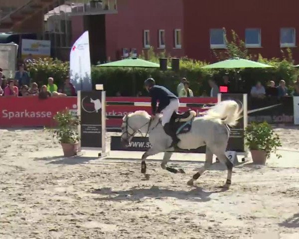 HORSE classics Killingen 2016