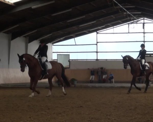 Reitturnier Datteln 2016