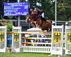 jumper Shawana Wh (Württemberger, 2011, from Sandrino IV CH)