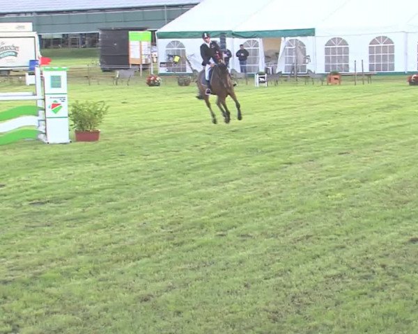 Reitturnier Behrendorf 2016